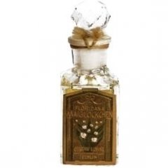 Floridana Maiglöckchen